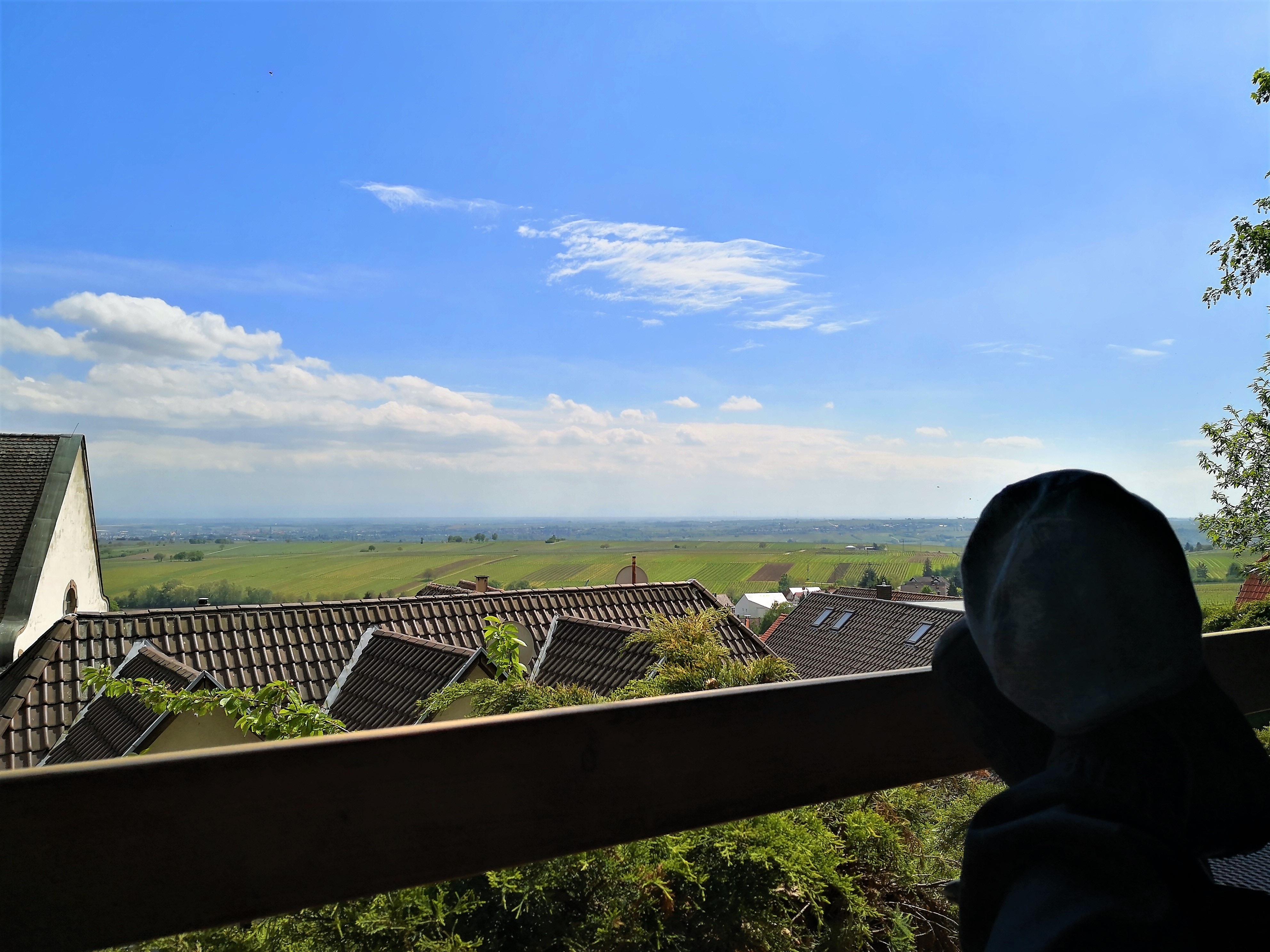 Ausblick vom Pavillon